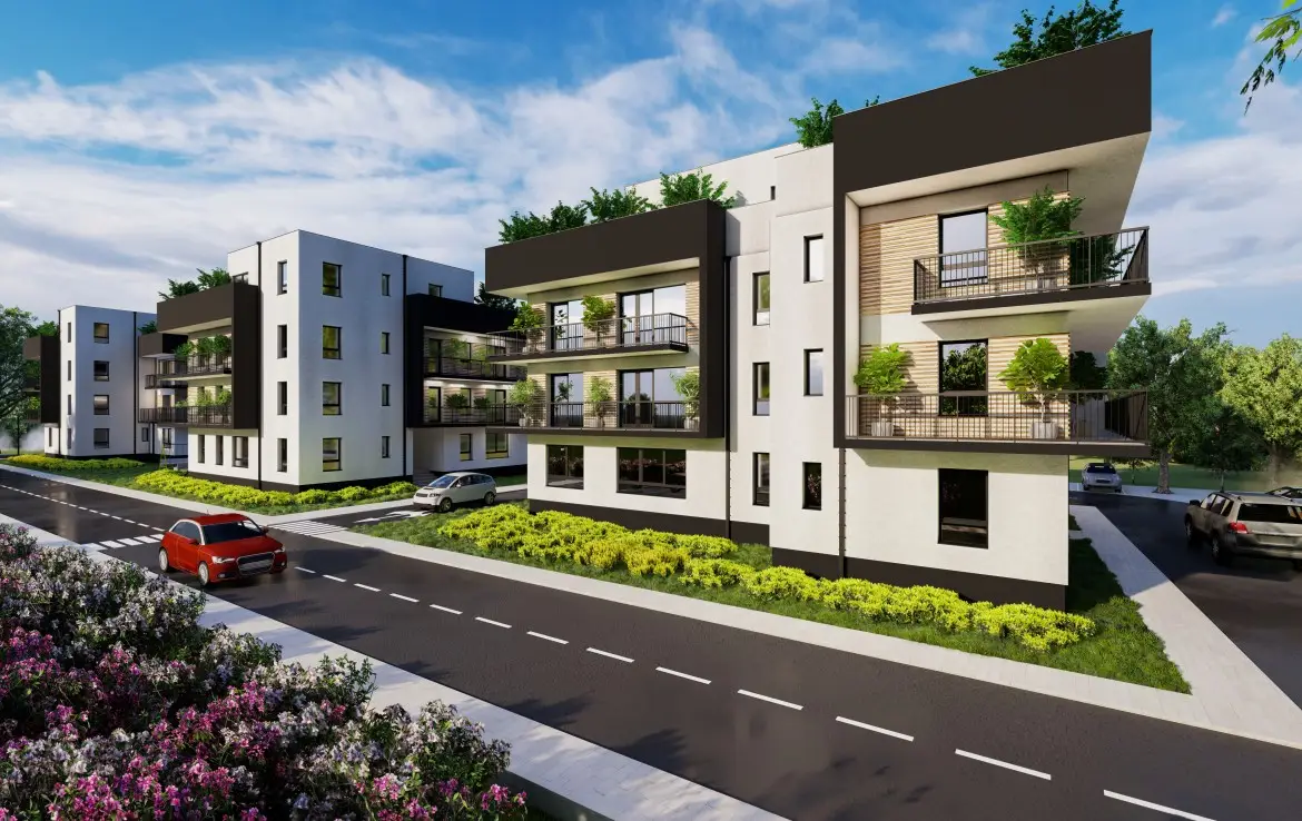 main section background